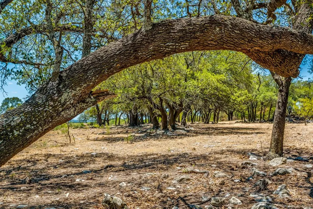 7700 Old Granbury Road Cresson, TX 76035