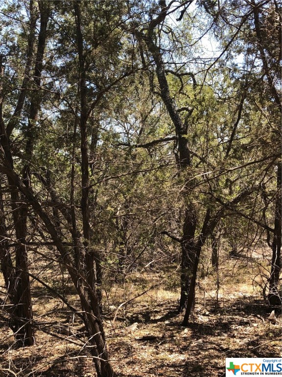 TBD Paradise Parkway