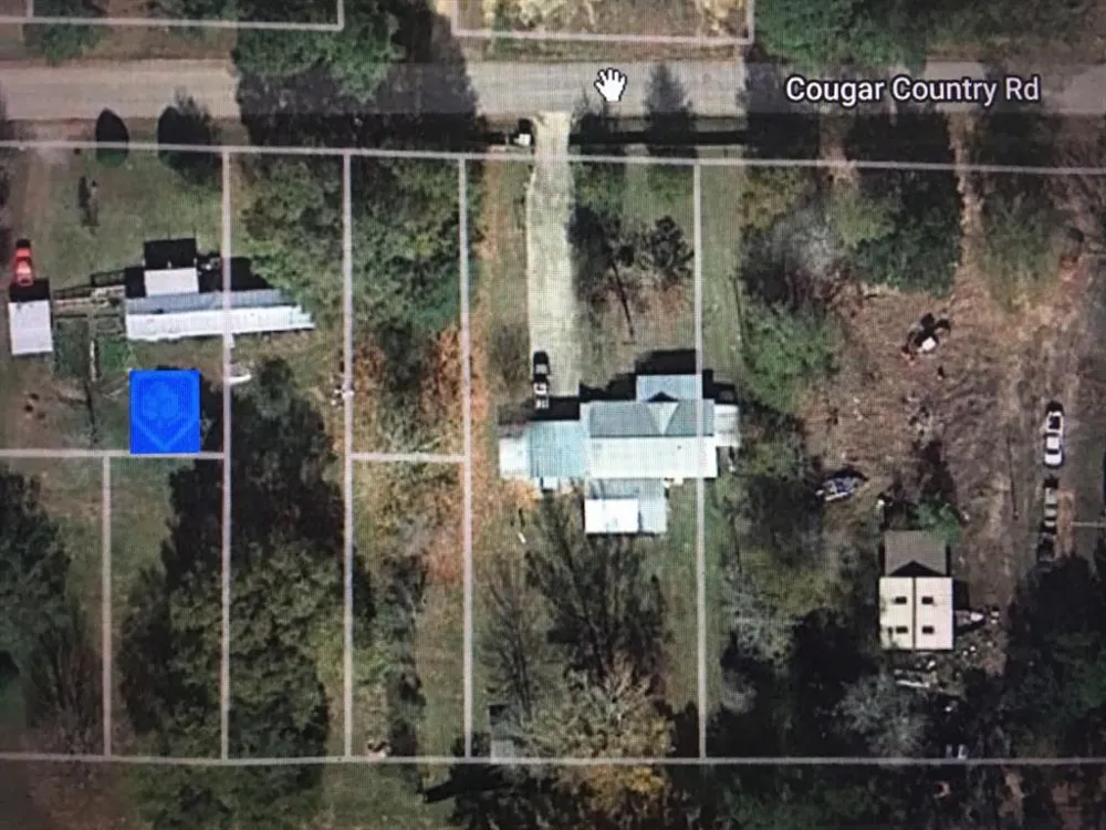 456 Cougar Drive Buna, TX 77612