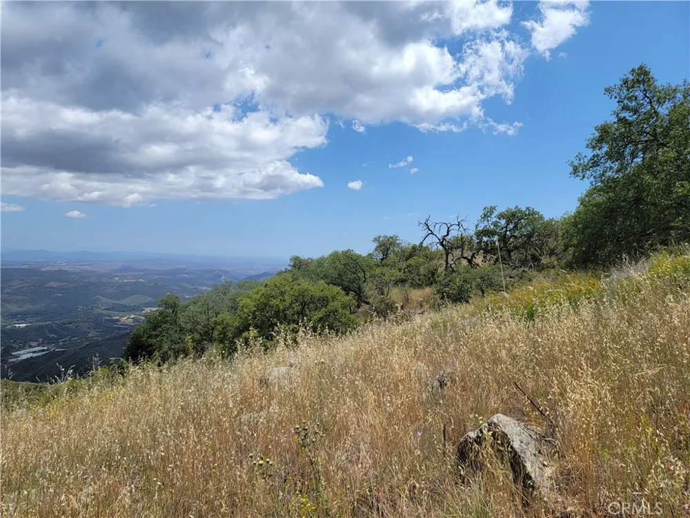 Lions Lair Murrieta, CA 92562