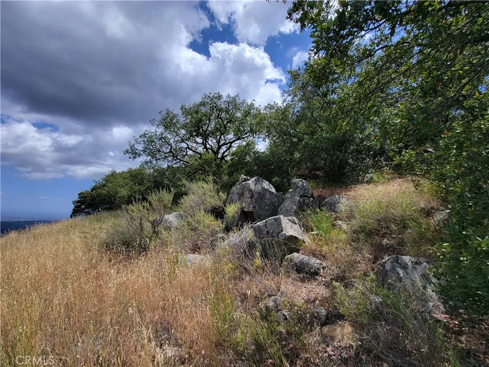 Lions Lair Murrieta, CA 92562
