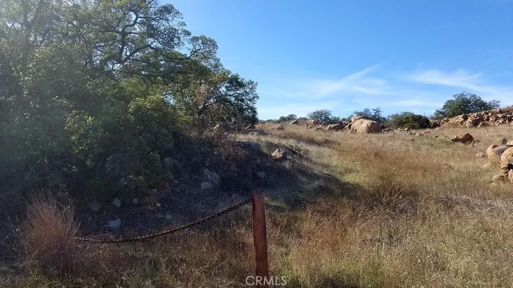 Lions Lair Murrieta, CA 92562