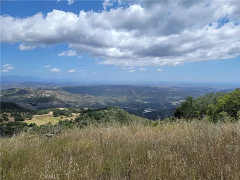 Lions Lair