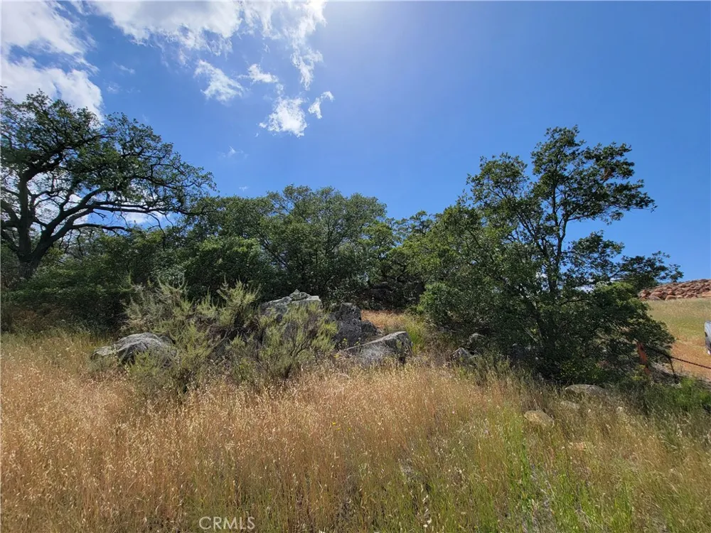 Lions Lair Murrieta, CA 92562