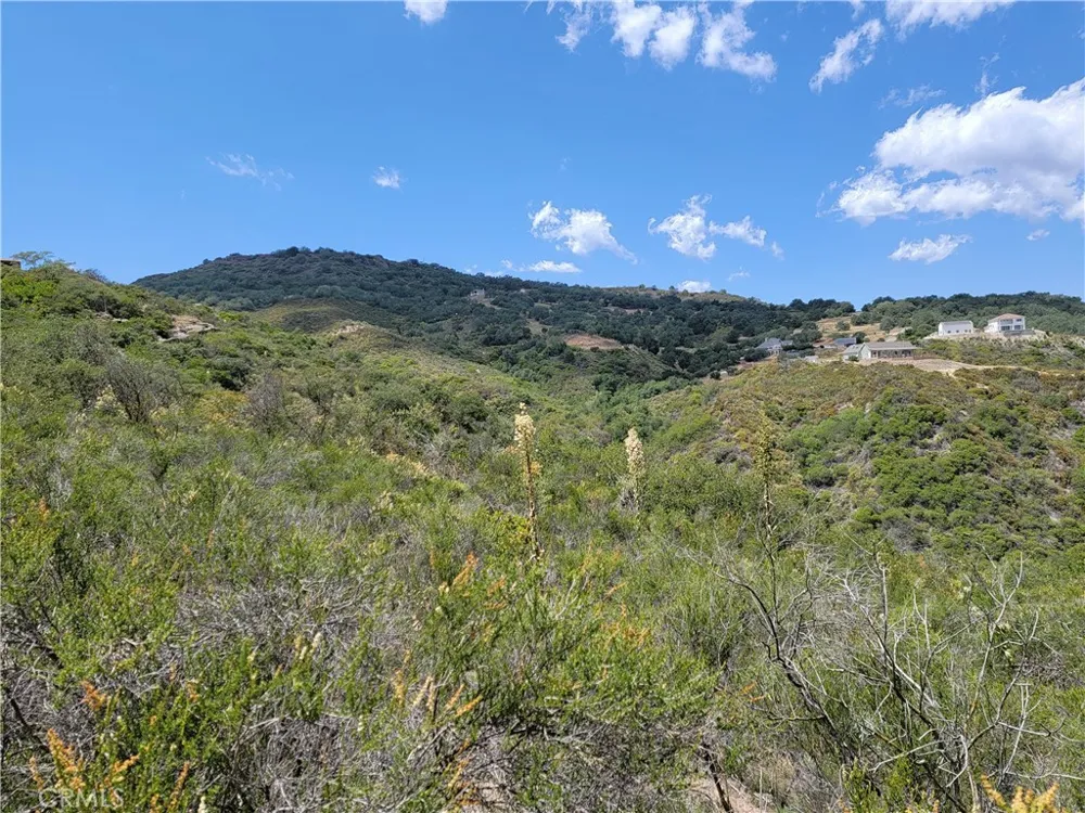 Lions Lair Murrieta, CA 92562