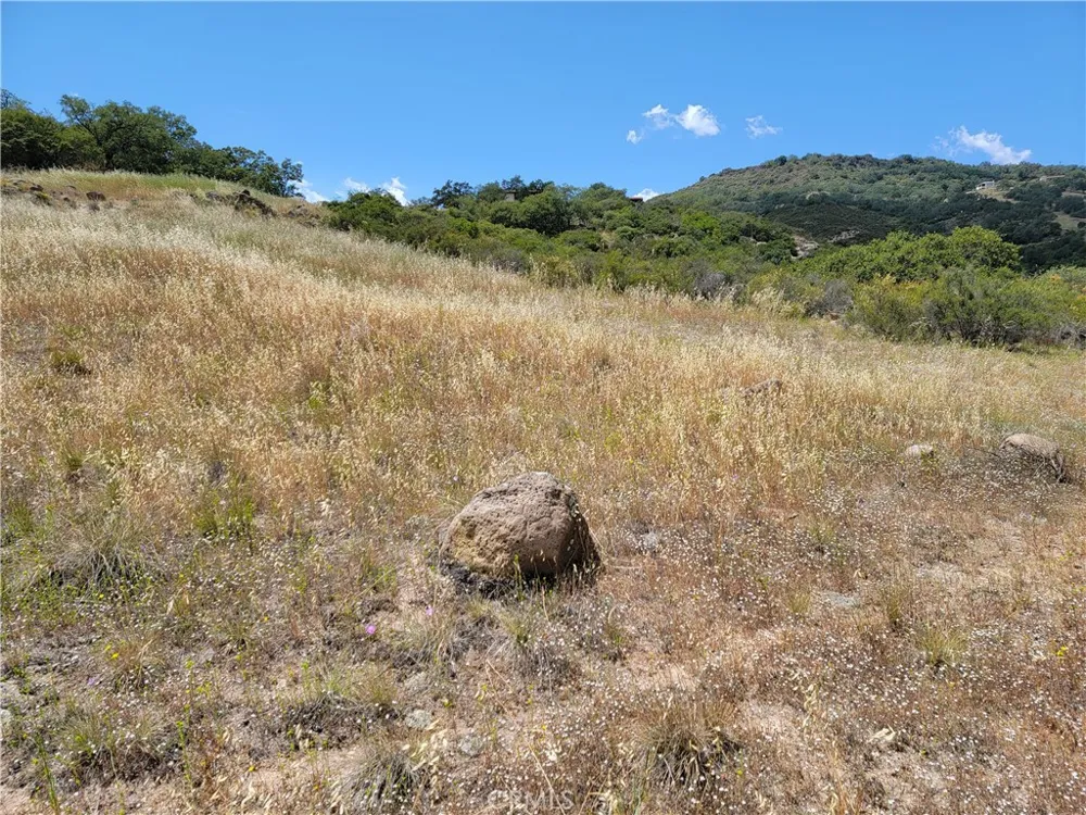 Lions Lair Murrieta, CA 92562