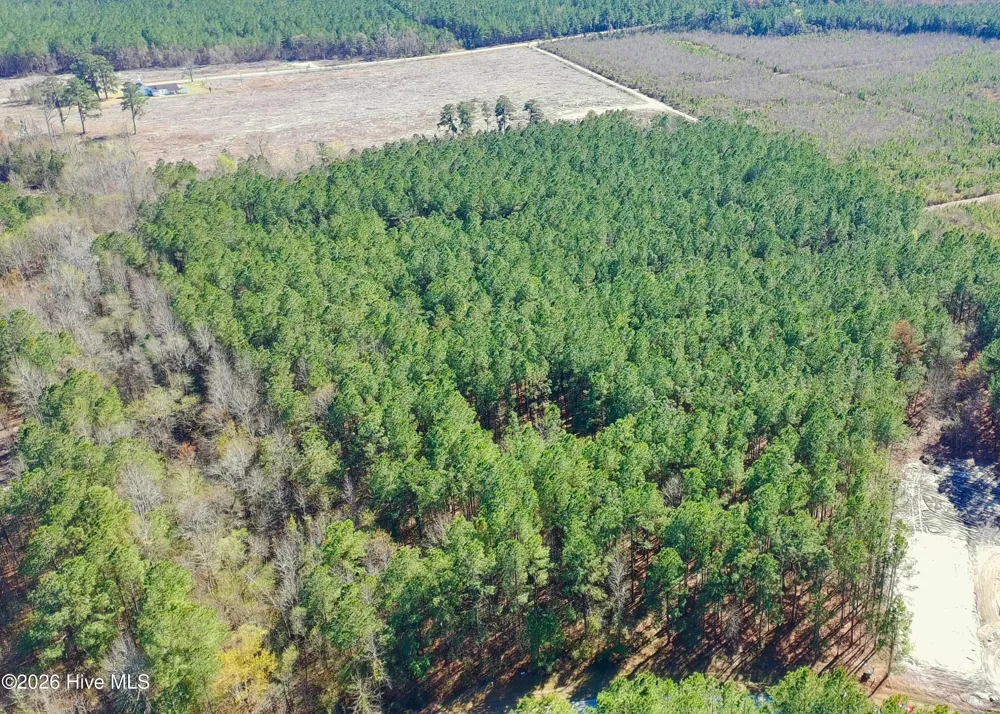 57 Eagle Nest Trail Blounts Creek, NC 27814