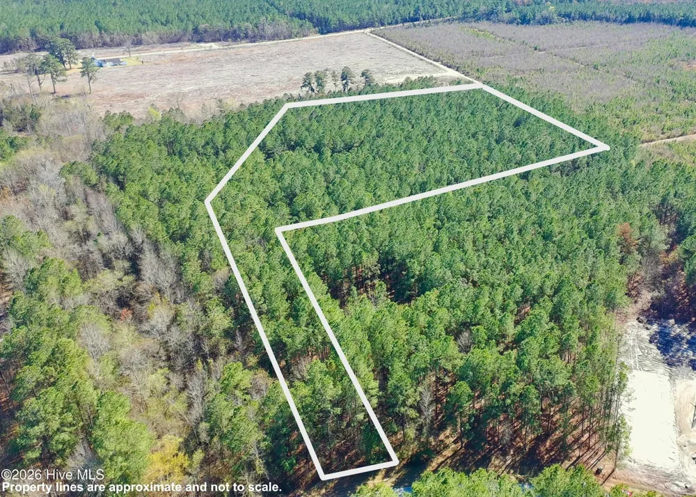 57 Eagle Nest Trail Blounts Creek, NC 27814