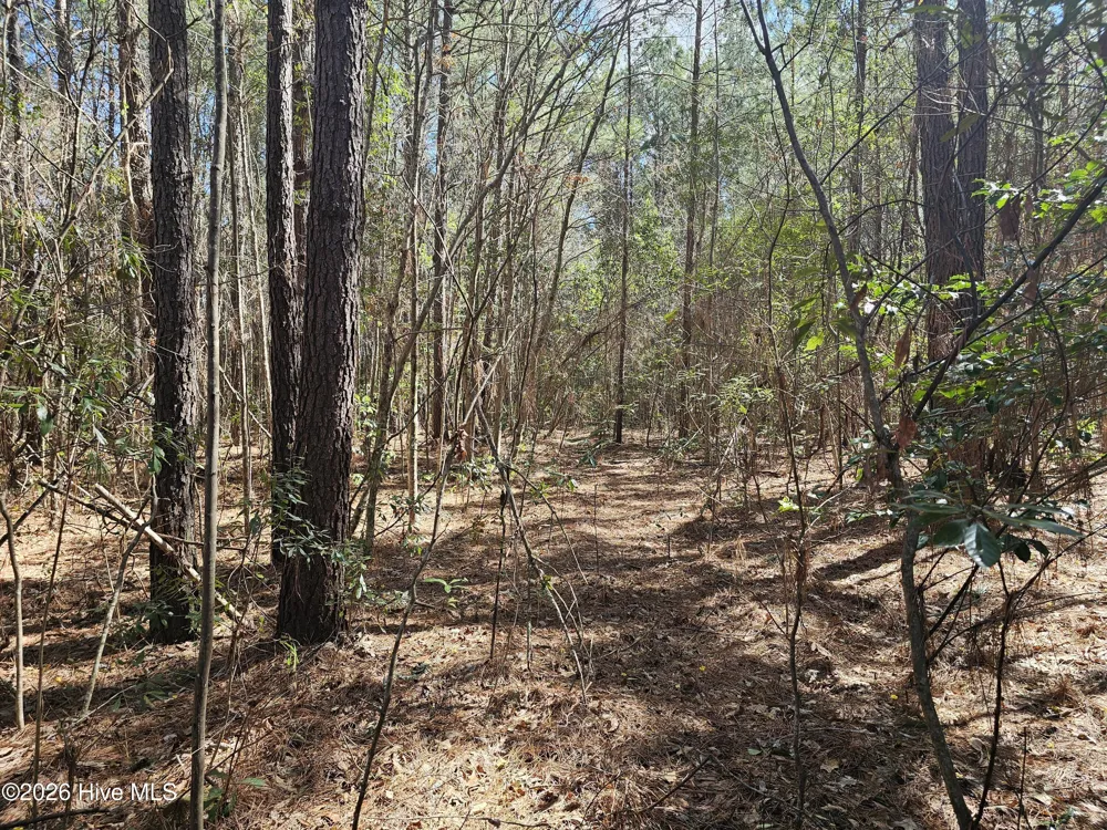 57 Eagle Nest Trail Blounts Creek, NC 27814