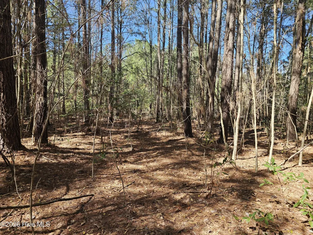 57 Eagle Nest Trail Blounts Creek, NC 27814
