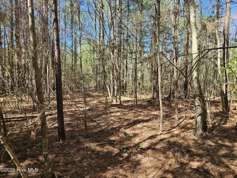57 Eagle Nest Trail Blounts Creek, NC 27814