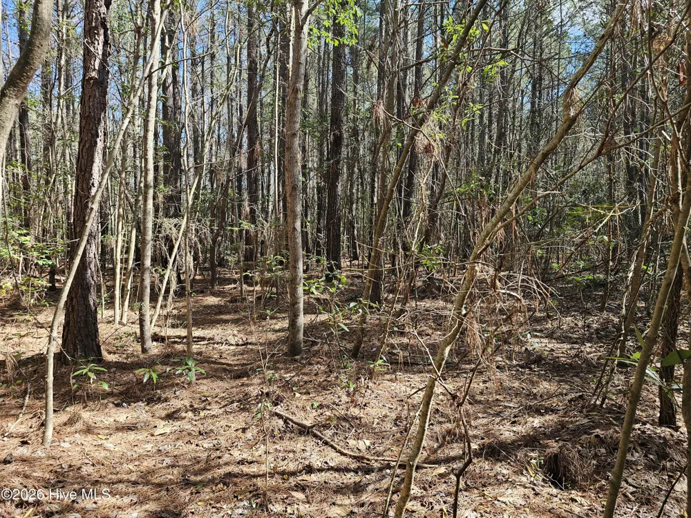 57 Eagle Nest Trail Blounts Creek, NC 27814
