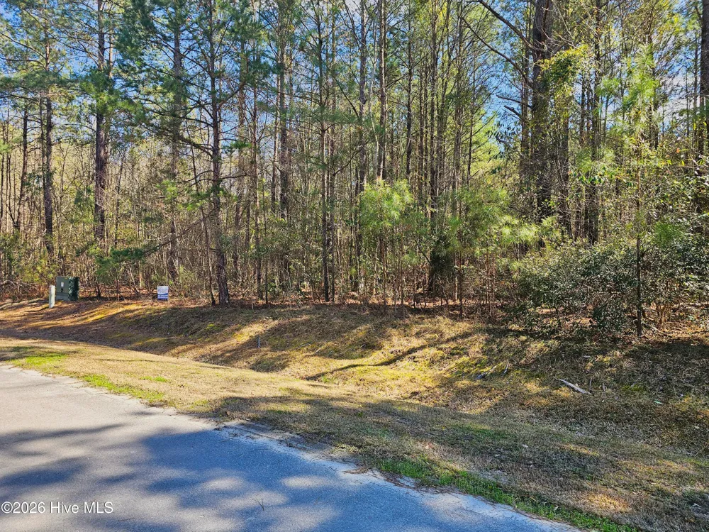 57 Eagle Nest Trail Blounts Creek, NC 27814