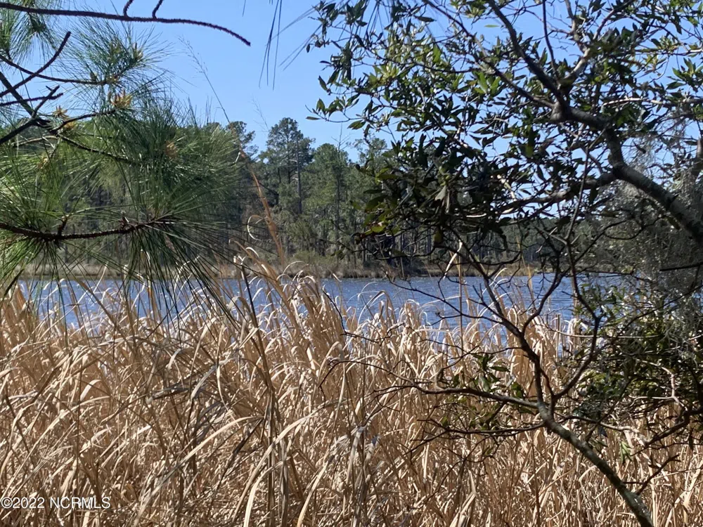 Lot 24 Bailey Pointe S/D Drive Belhaven, NC 27810