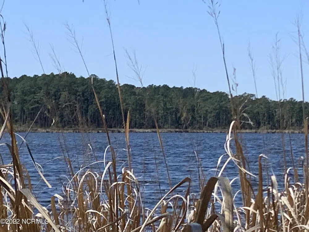 Lot 24 Bailey Pointe S/D Drive Belhaven, NC 27810