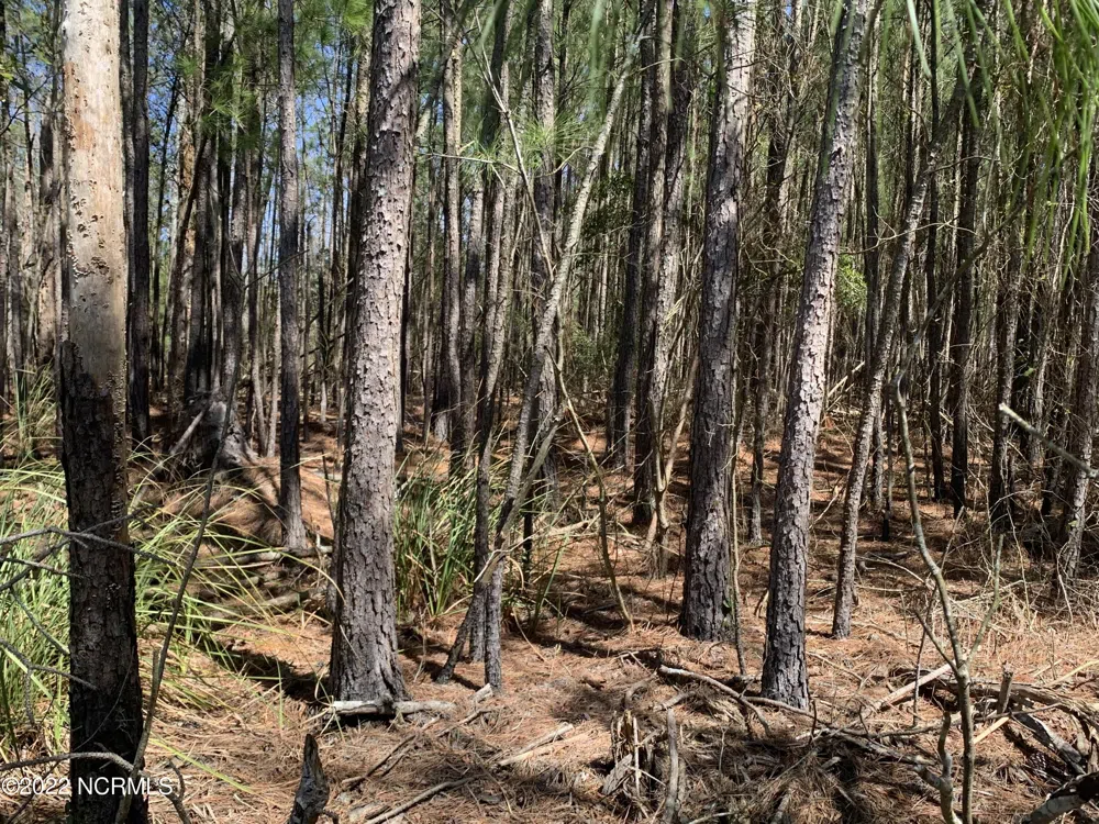 Lot 24 Bailey Pointe S/D Drive Belhaven, NC 27810