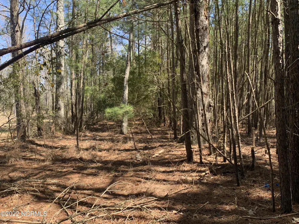 Lot 24 Bailey Pointe S/D Drive Belhaven, NC 27810
