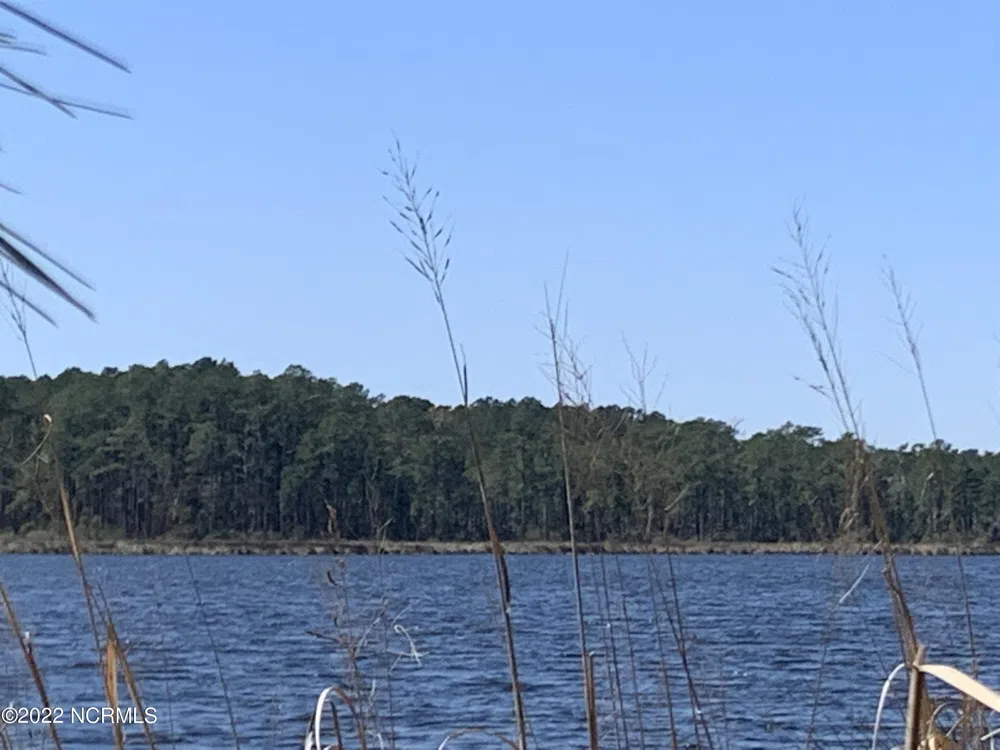 Lot 24 Bailey Pointe S/D Drive Belhaven, NC 27810