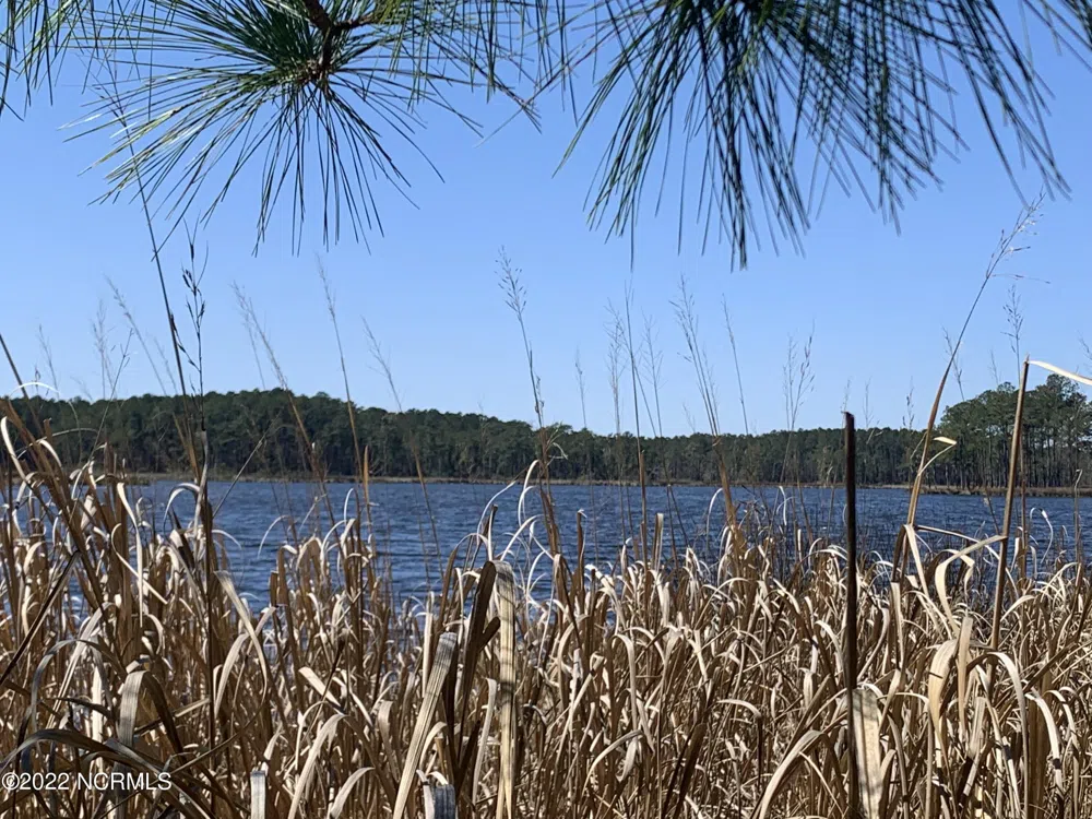 Lot 24 Bailey Pointe S/D Drive Belhaven, NC 27810