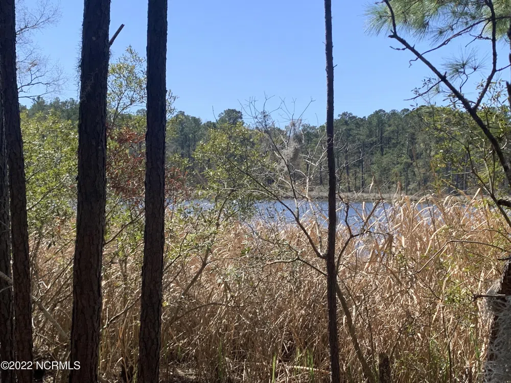Lot 24 Bailey Pointe S/D Drive Belhaven, NC 27810