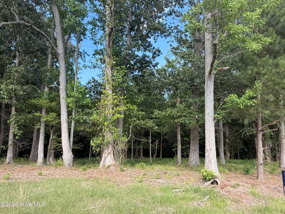 506 Batchelor Bay Drive Windsor, NC 27983
