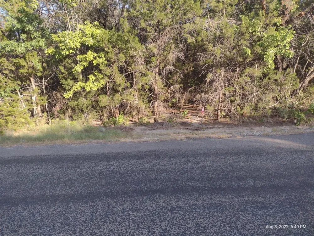 1011 Comanche Cove Drive Granbury, TX 76048