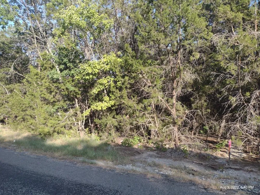 1011 Comanche Cove Drive Granbury, TX 76048