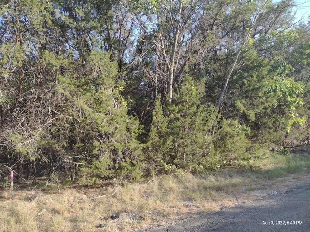 1011 Comanche Cove Drive Granbury, TX 76048