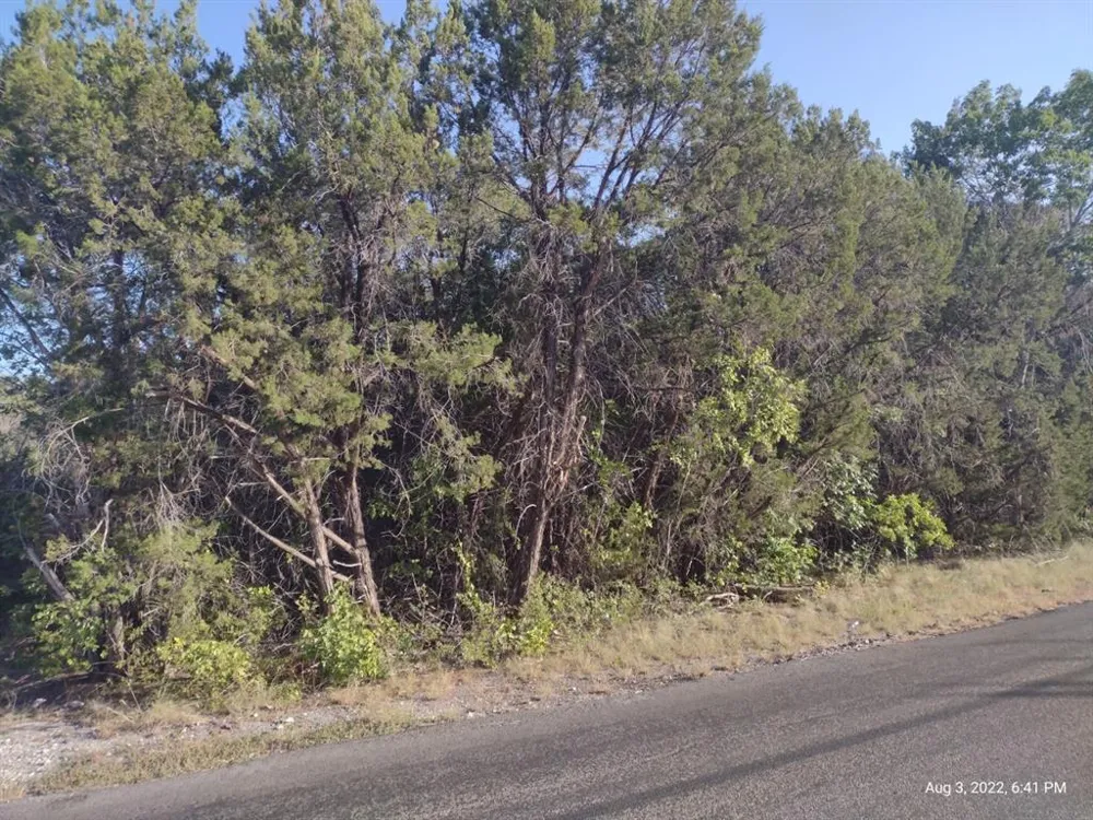 1011 Comanche Cove Drive Granbury, TX 76048