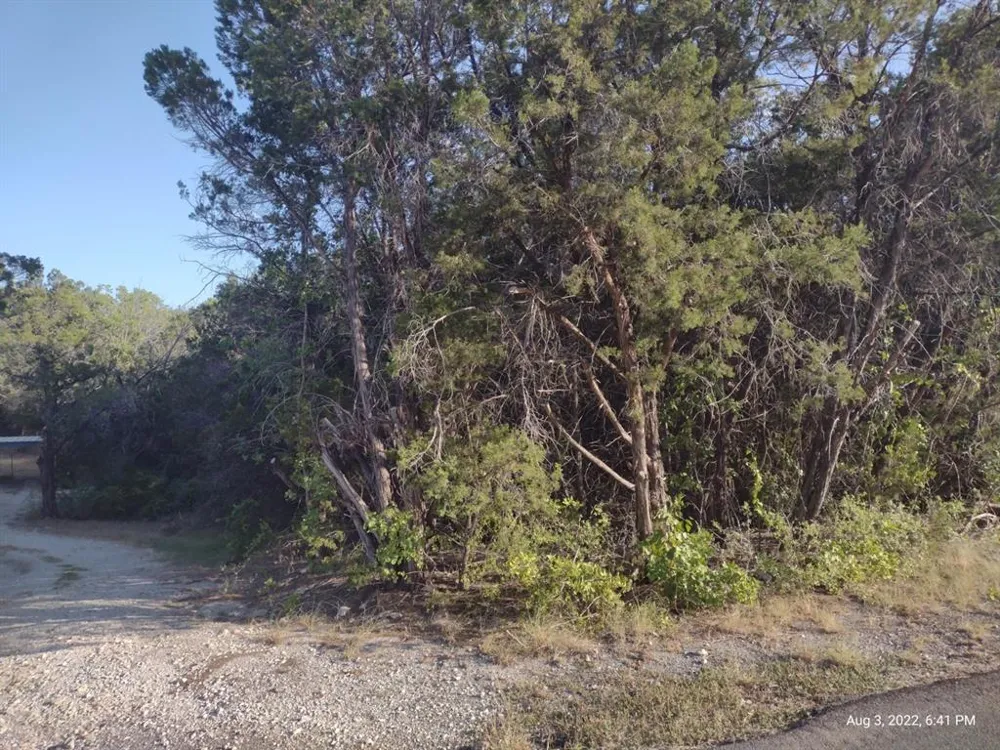 1011 Comanche Cove Drive Granbury, TX 76048