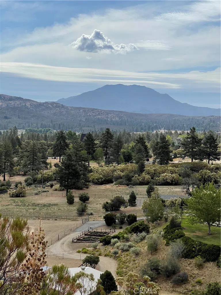 2 Goldshot Creek Road Mountain Center, CA 92561