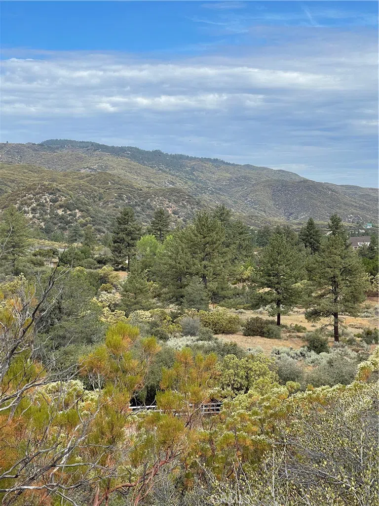 2 Goldshot Creek Road Mountain Center, CA 92561