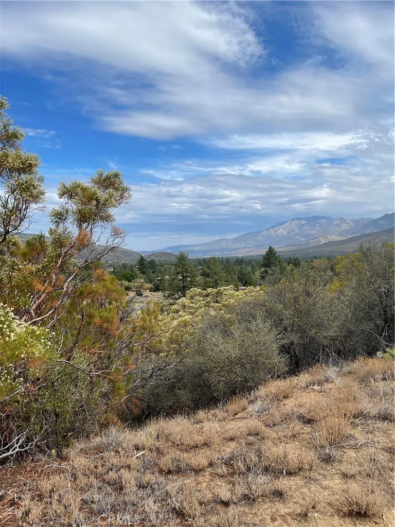 2 Goldshot Creek Road Mountain Center, CA 92561