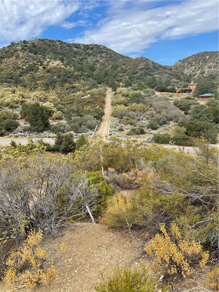 2 Goldshot Creek Road Mountain Center, CA 92561
