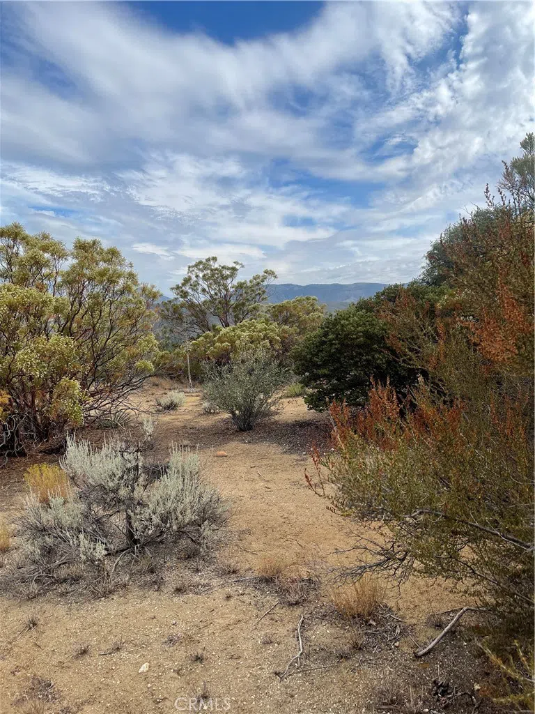2 Goldshot Creek Road Mountain Center, CA 92561