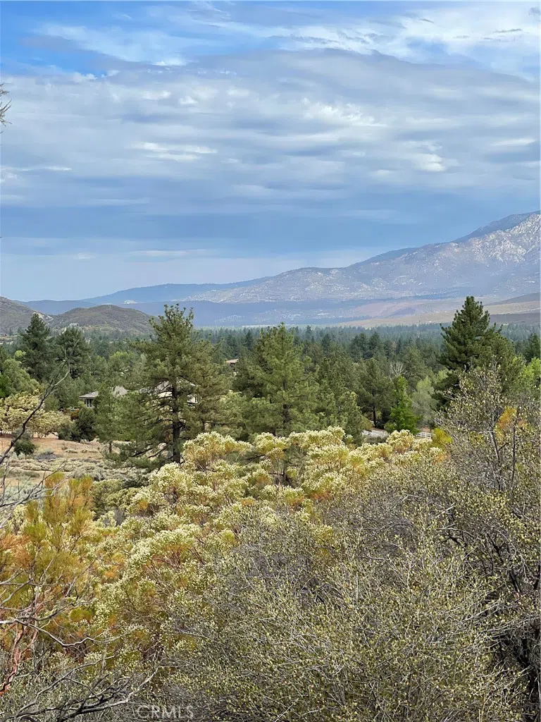 2 Goldshot Creek Road Mountain Center, CA 92561