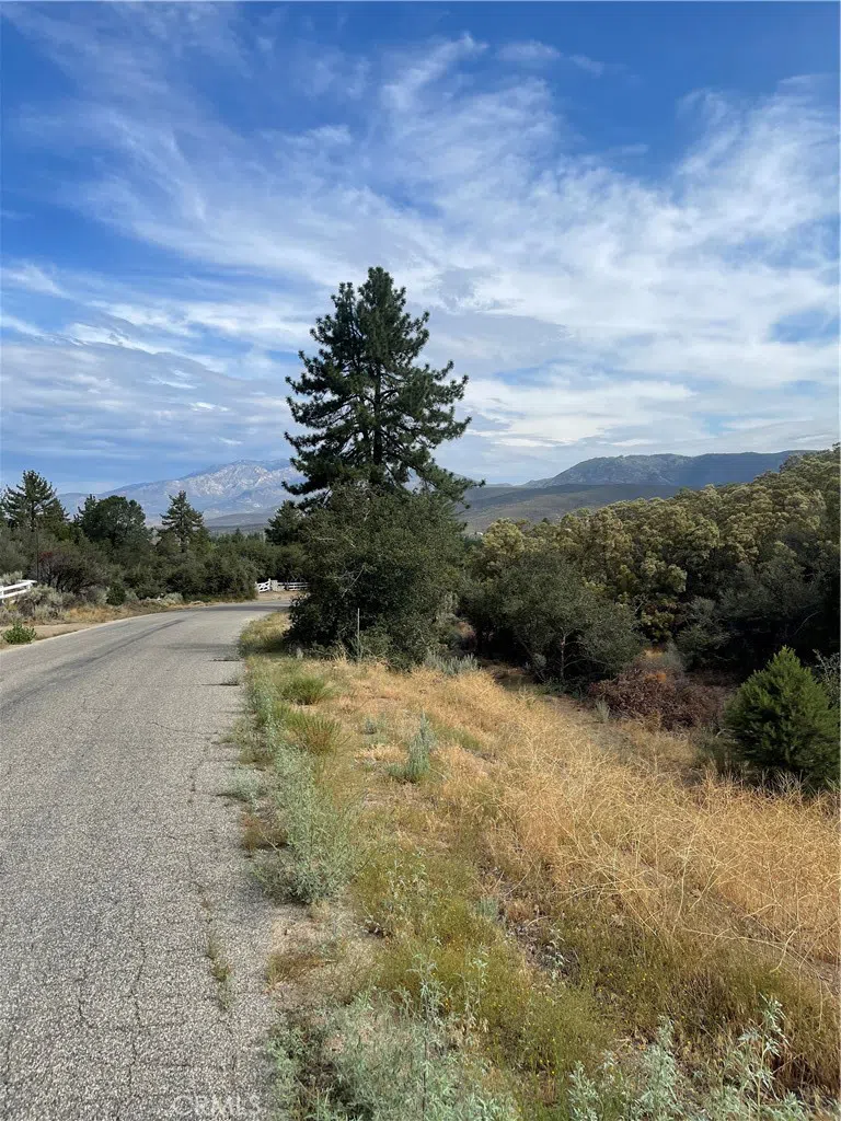 2 Goldshot Creek Road Mountain Center, CA 92561