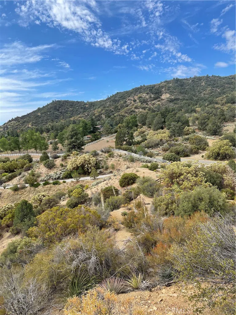 2 Goldshot Creek Road Mountain Center, CA 92561