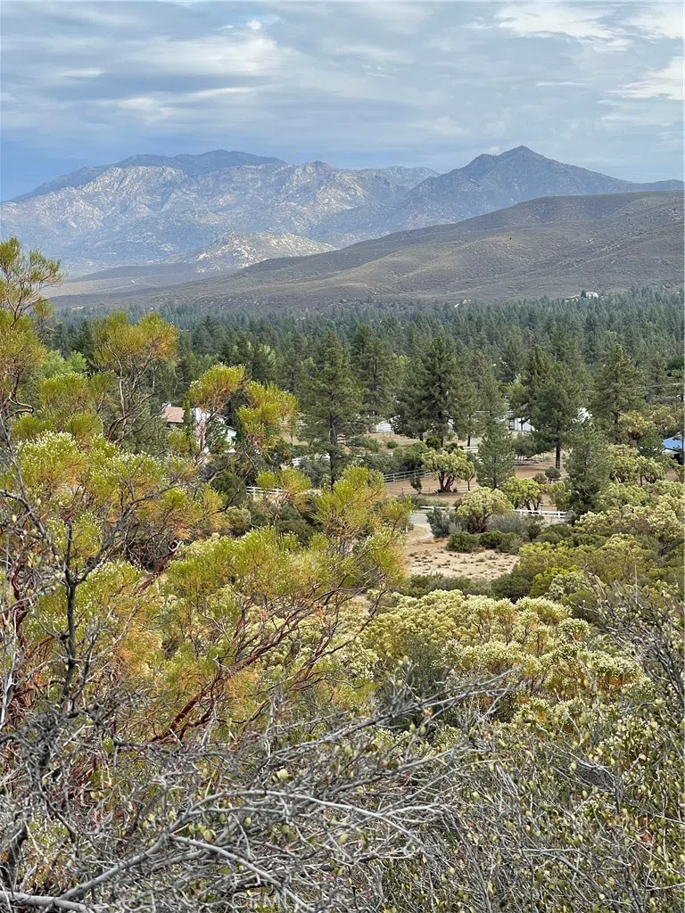 2 Goldshot Creek Road Mountain Center, CA 92561