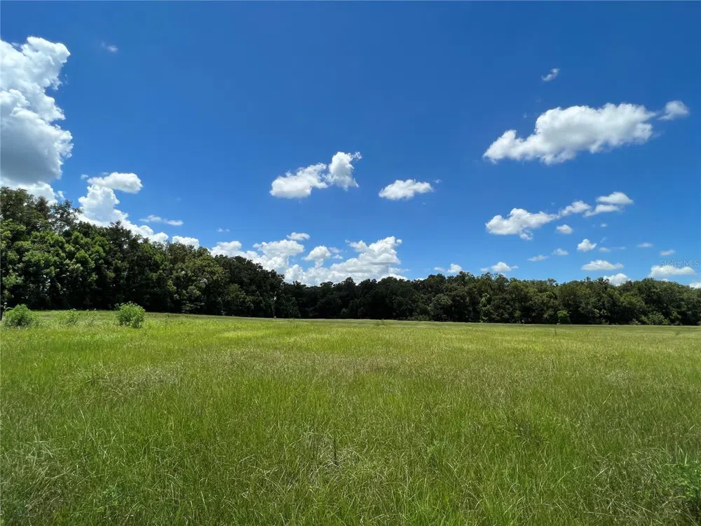 5500 SE 24TH STREET ocala, FL 34480