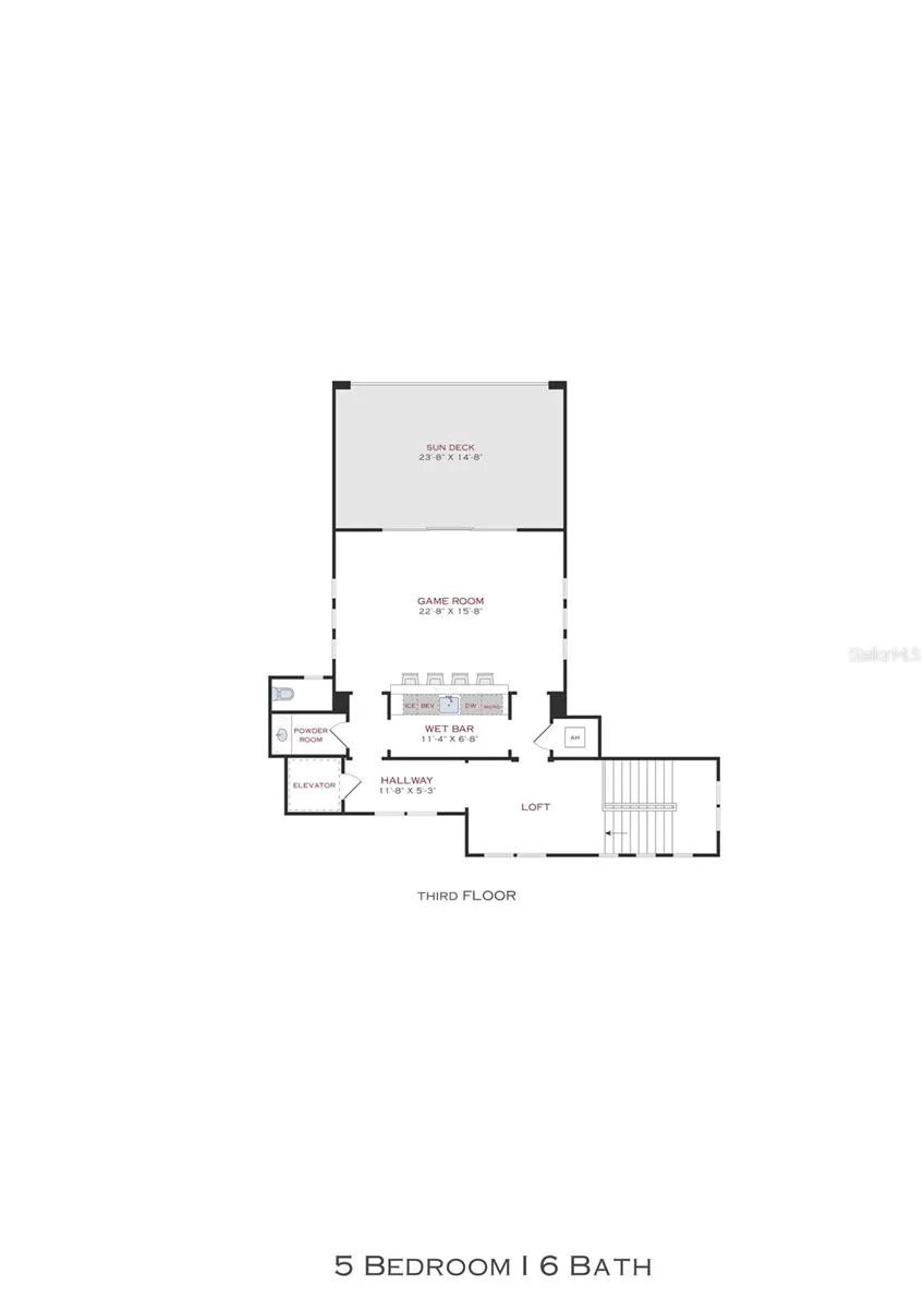 2417 S DUNDEE STREET Tampa, FL 33629