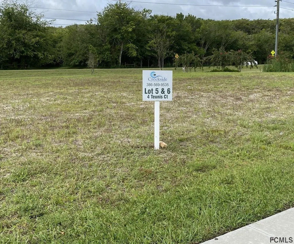 6 TEUNIS COURT Palm Coast, FL 32137