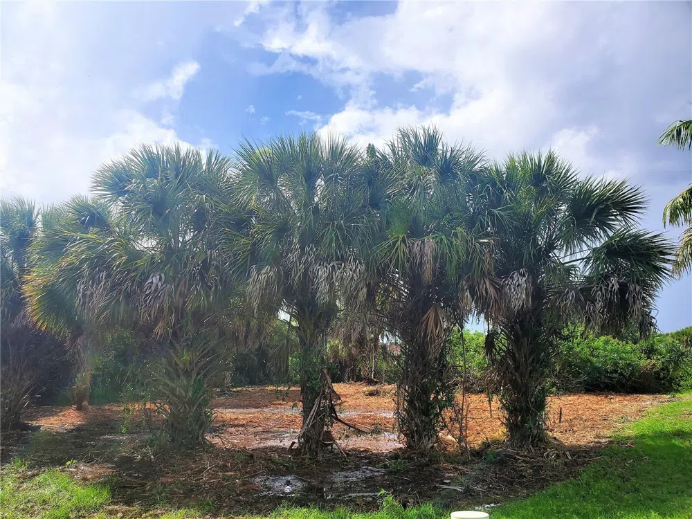 18037 OHARA DRIVE Port Charlotte, FL 33948