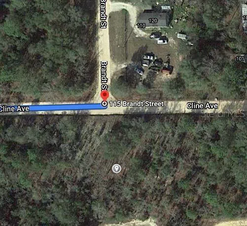115 BRANCH AVENUE Interlachen, FL 32148