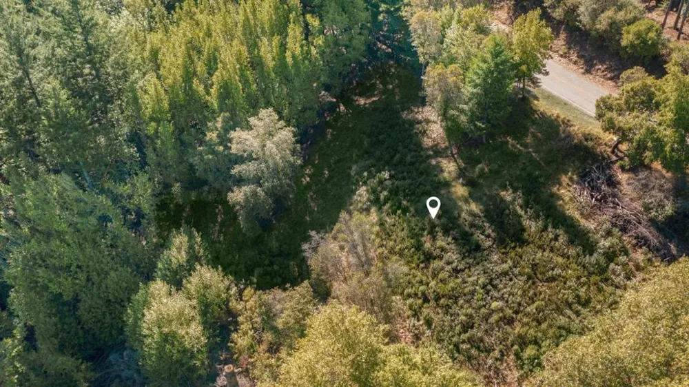 16968 Bohlman Road Saratoga, CA 95070