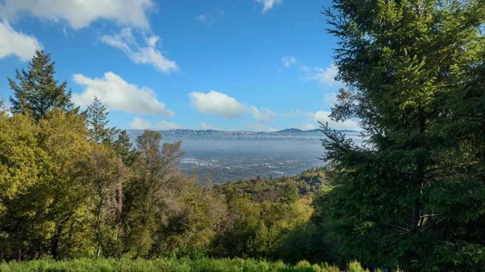 16968 Bohlman Road Saratoga, CA 95070