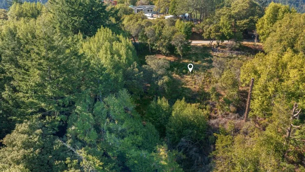 16968 Bohlman Road Saratoga, CA 95070