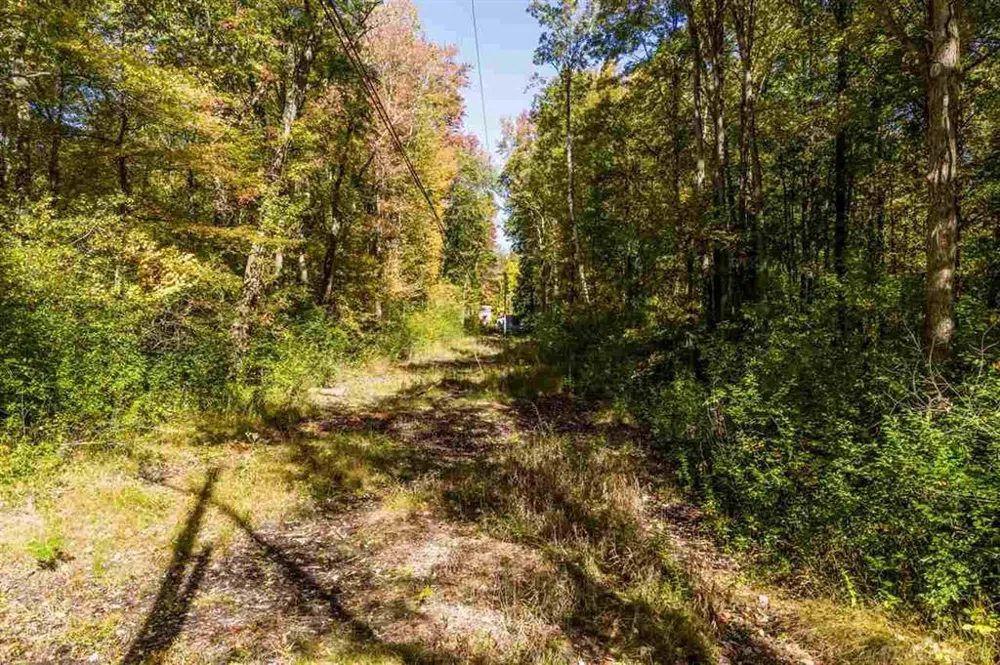 24 Vacant Lots Clay Township, MI 48001