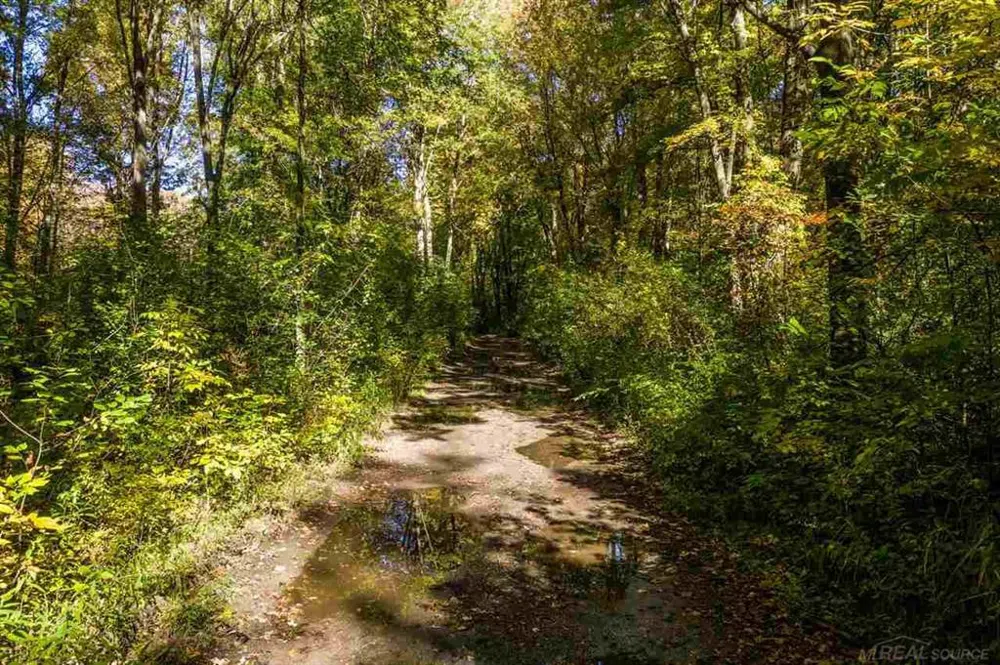 24 Vacant Lots Clay Township, MI 48001