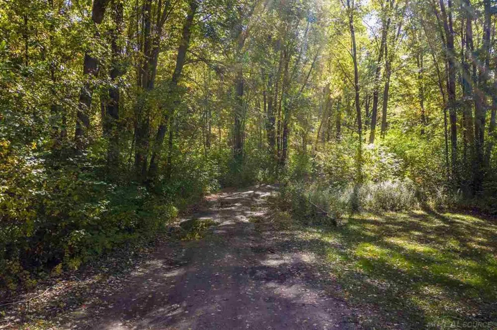 24 Vacant Lots Clay Township, MI 48001